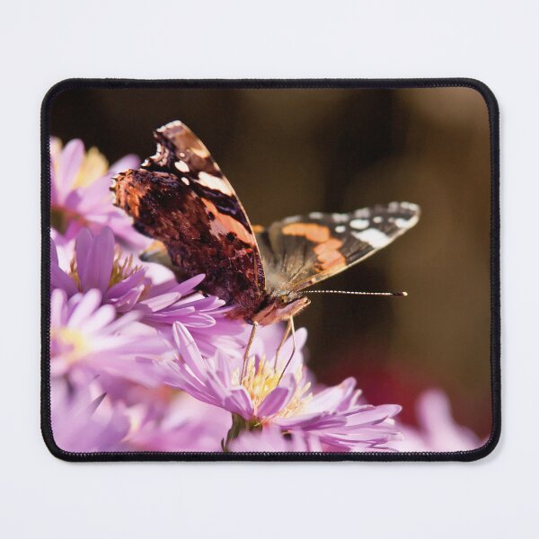 Item preview, Autumn butterfly designed and sold by Dominika Aniola.