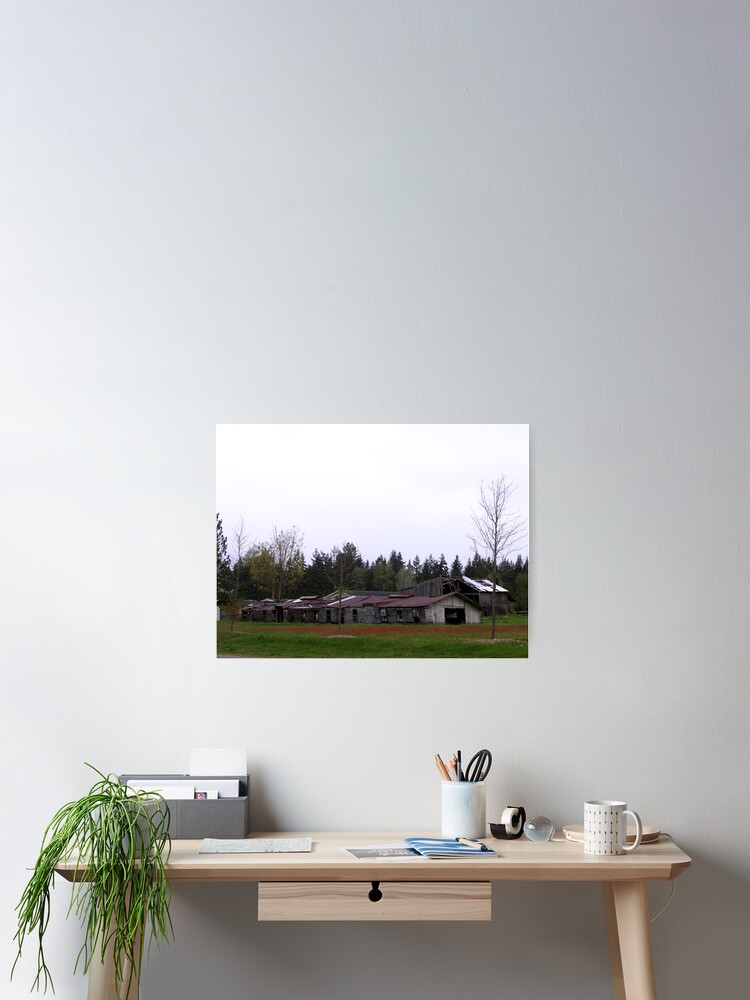 Thumbnail 2 of 3, Poster, Still Standing designed and sold by katmouse47.
