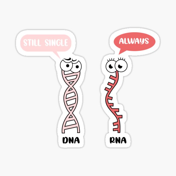 DNA And RNA Joke" Sticker for Sale by Caroline Saline Redbubble