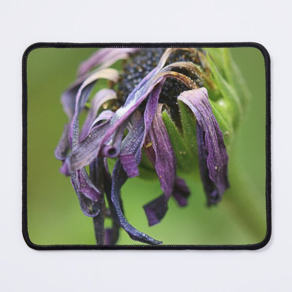 Item preview, Best before. designed and sold by Paul Pasco.