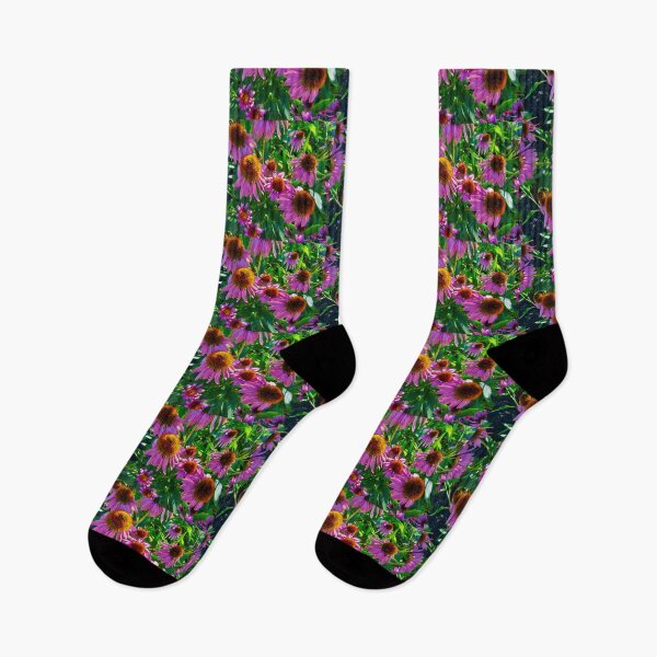 Item preview, Sunlit coneflowers designed and sold by Shulie1.