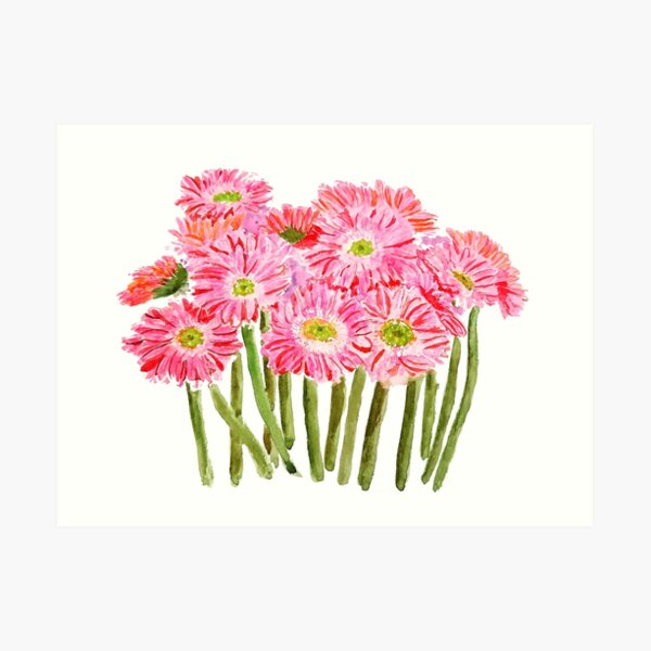 Pink Barberton Daisy Gerbera Watercolor Gerbera daisy Art Print