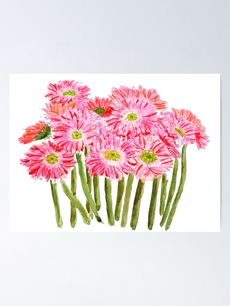 Póster «Rosa Barberton Daisy Gerbera Acuarela Gerbera Margarita» de  ColorandColor | Redbubble