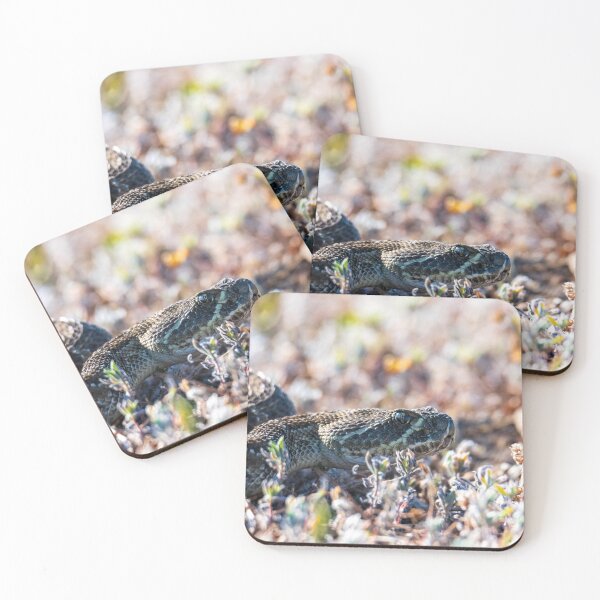 Item preview, Snaking in the grass designed and sold by Greg Birkett.