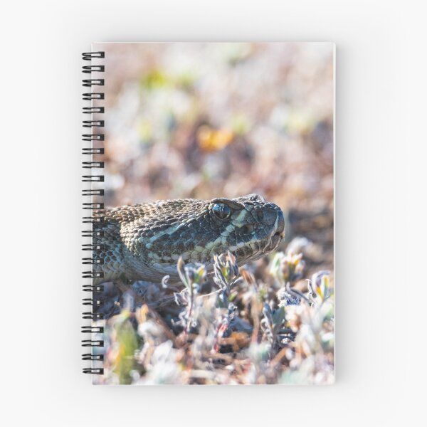 Item preview, Snaking in the grass designed and sold by Greg Birkett.