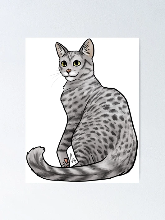 Cat Egyptian Mau Silver