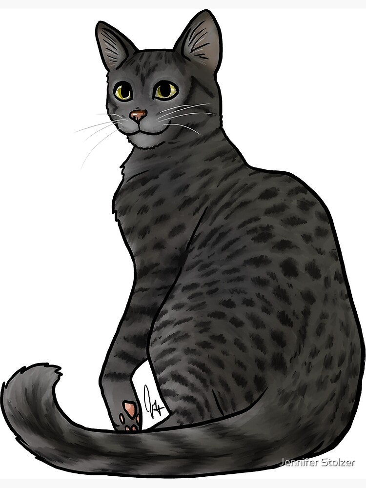 Cat Egyptian Mau Black Smoke
