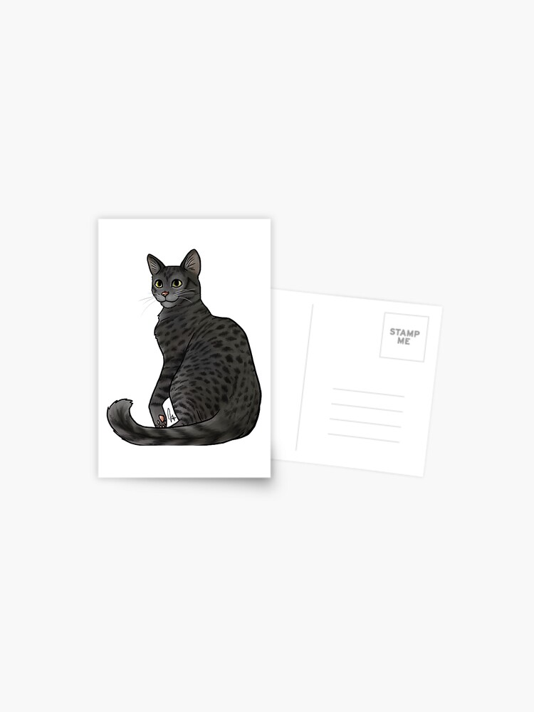 Cat Egyptian Mau Black Smoke Postcard