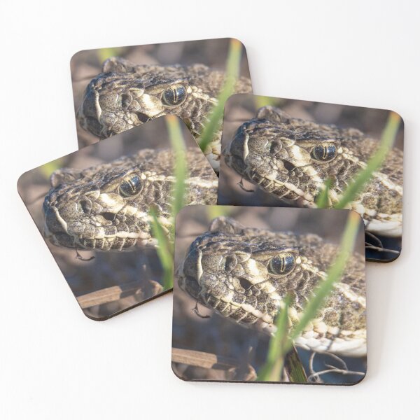 Item preview, Rattlesnake designed and sold by Greg Birkett.