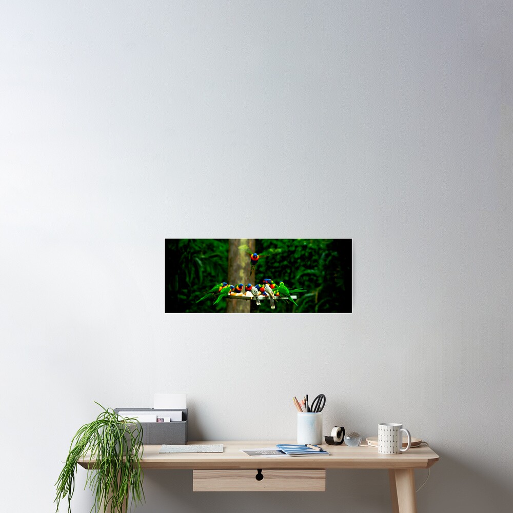 The Birds Poster