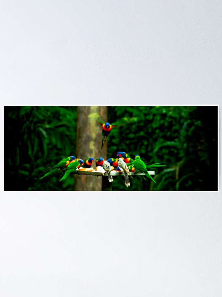 Alternate view of The Birds Poster