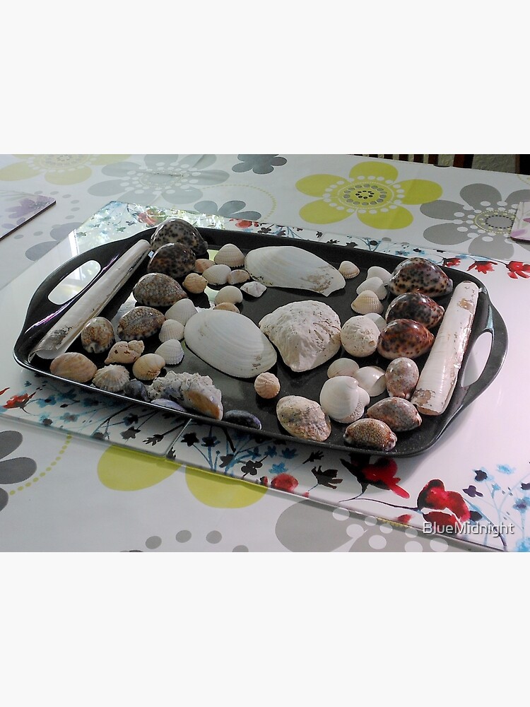 "Sea Shells Galore" Poster for Sale by BlueMidnight Redbubble