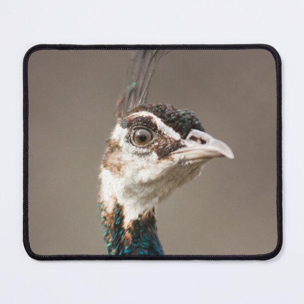 Item preview, Proud lady designed and sold by Dominika Aniola.