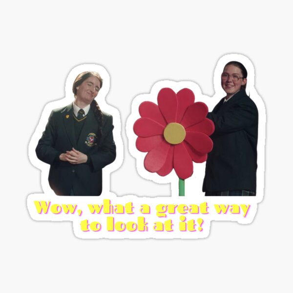 "Derry Girls Jenny and Aisling" Sticker for Sale by TShirtTiger Redbubble