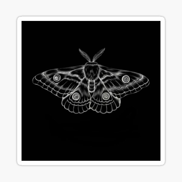 sternum moth Sticker