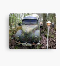 Green Cap Canvas Print