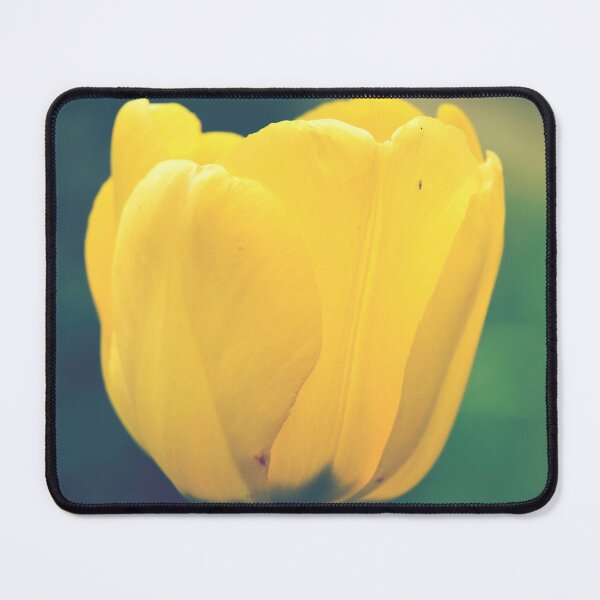 Item preview, Yellow tulip designed and sold by Dominika Aniola.