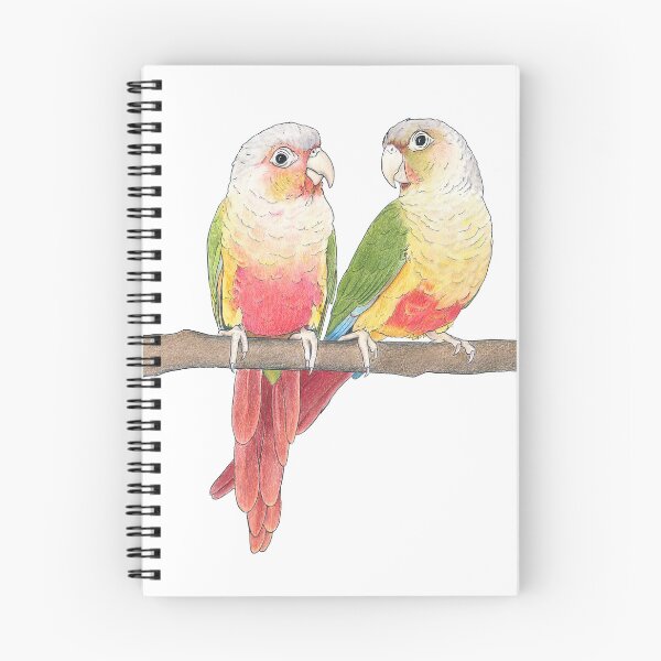 Artikelvorschau, Ananas Conures entworfen und verkauft von jeather.