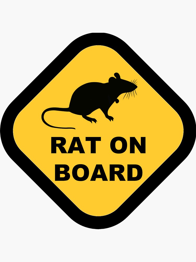 rat on board bumper sticker (yellow) Sticker