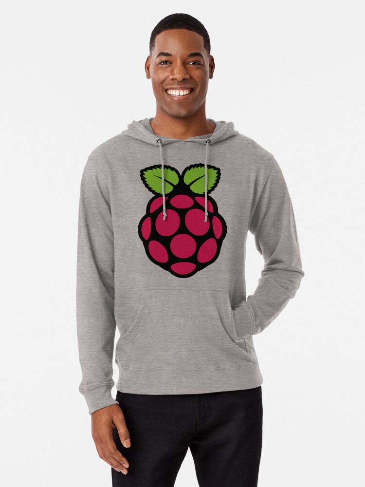 Raspberry pi logo