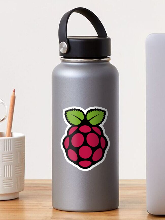 Raspberry Pi logo stickers (Small - set of 10 )