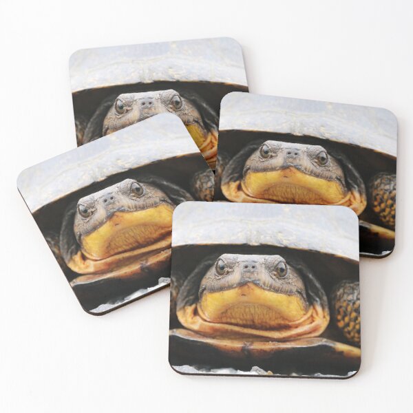 Item preview, Blanding’s Turtle designed and sold by AdamStCyr.