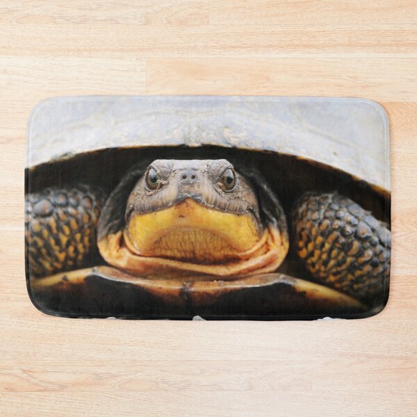 Item preview, Blanding’s Turtle designed and sold by AdamStCyr.