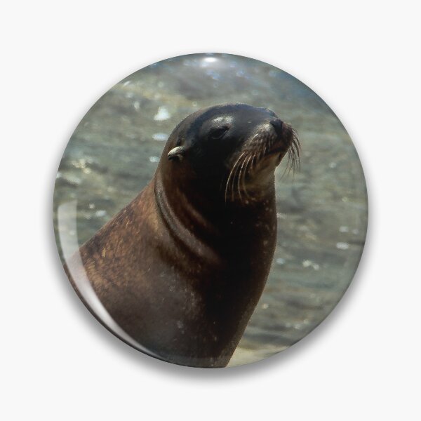 Item preview, Sea Lion Enjoying the Sun  designed and sold by heatherfriedman.