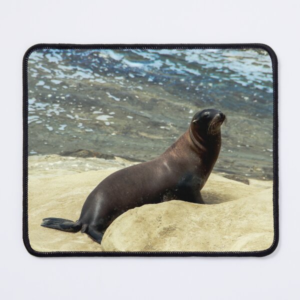 Item preview, Sea Lion Enjoying the Sun  designed and sold by heatherfriedman.