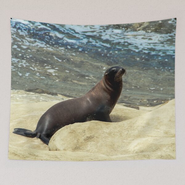 Item preview, Sea Lion Enjoying the Sun  designed and sold by heatherfriedman.