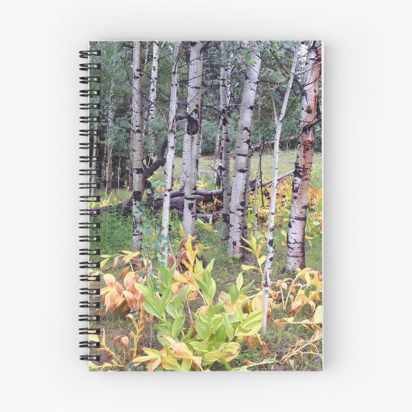 Item preview, Vegetation on the Colorado Trail designed and sold by zumi.