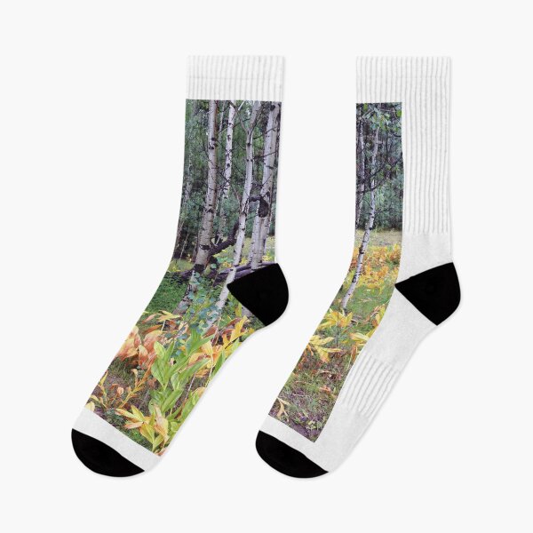 Item preview, Vegetation on the Colorado Trail designed and sold by zumi.