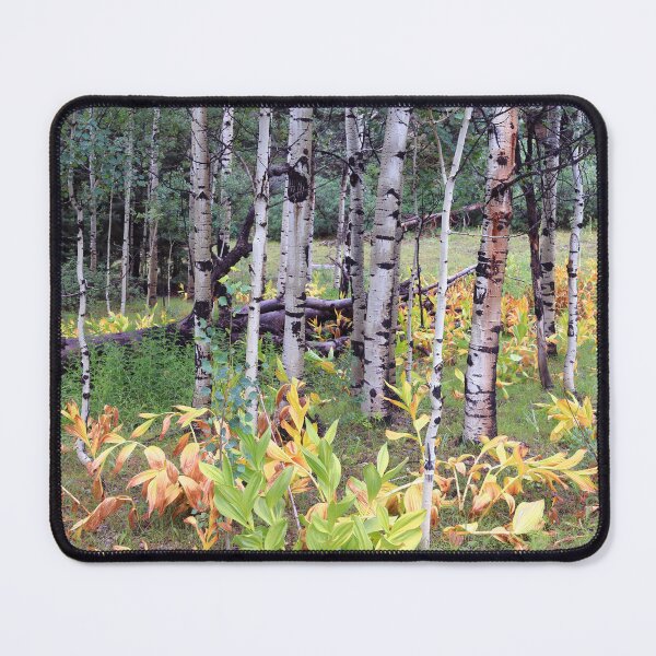 Item preview, Vegetation on the Colorado Trail designed and sold by zumi.