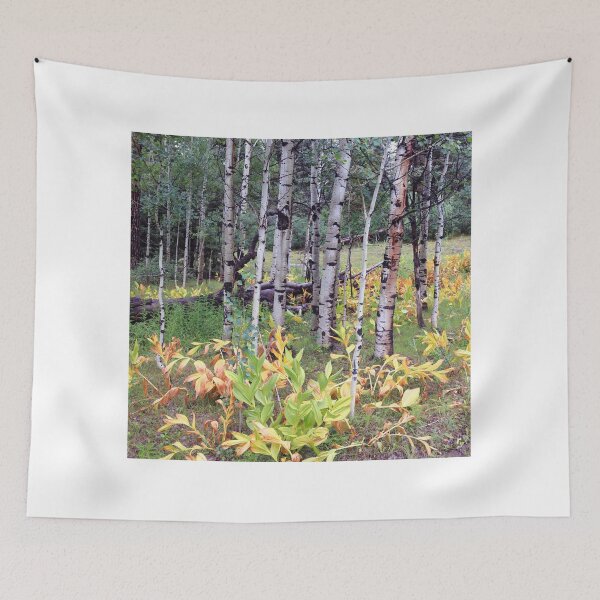 Item preview, Vegetation on the Colorado Trail designed and sold by zumi.