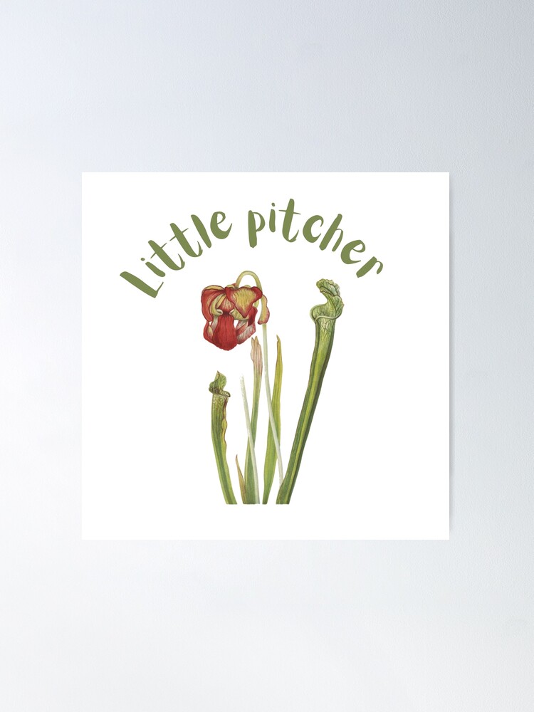 Little Pitcher - Cute Pun - Pitcher Plant Poster for Sale by  AlleghenyDesign