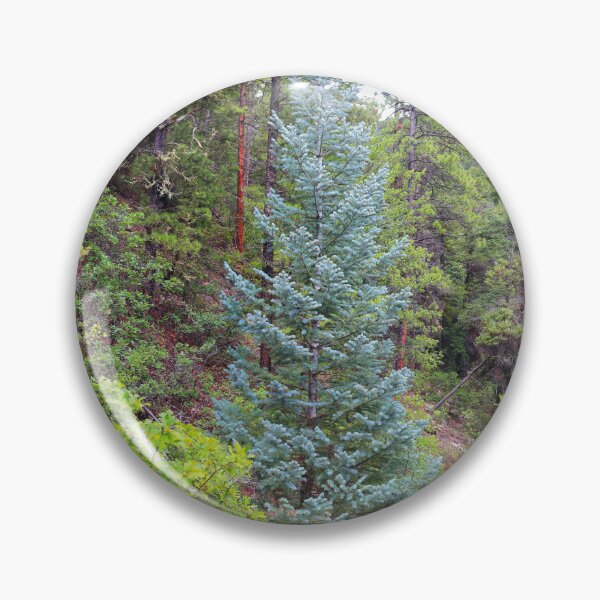 Item preview, Colorado blue spruce designed and sold by zumi.