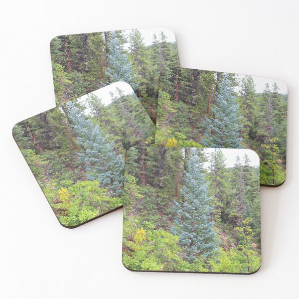 Item preview, Colorado blue spruce designed and sold by zumi.