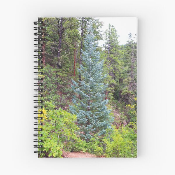 Item preview, Colorado blue spruce designed and sold by zumi.