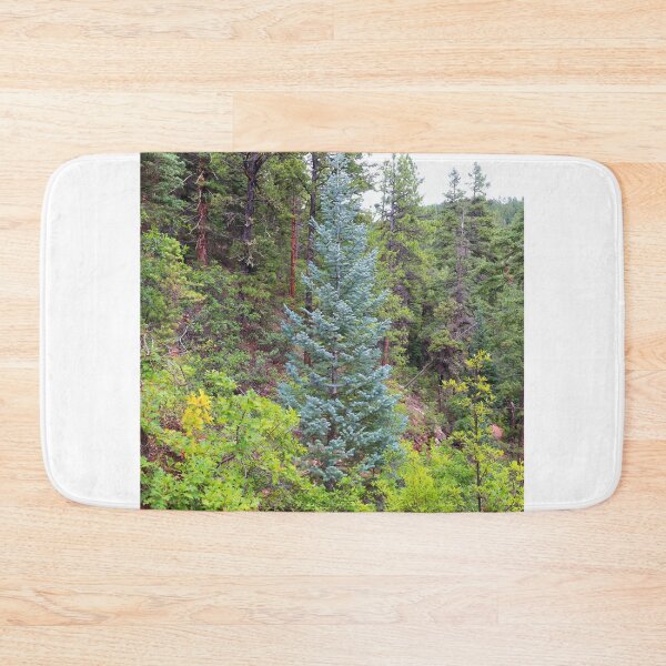 Item preview, Colorado blue spruce designed and sold by zumi.