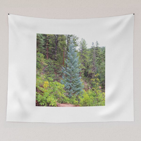 Item preview, Colorado blue spruce designed and sold by zumi.
