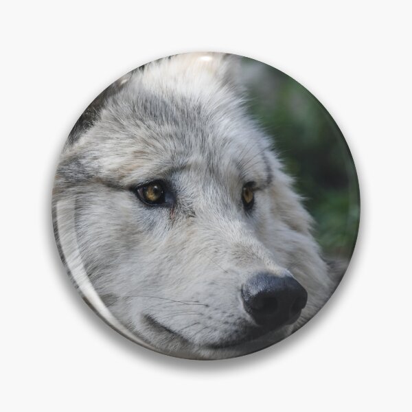 Item preview, Beautiful Zidika Wolf Vascover, Animal Zidika Wolf- designed and sold by bartdesigner.