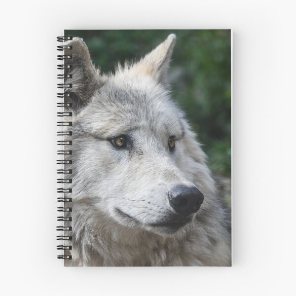 Item preview, Beautiful Zidika Wolf Vascover, Animal Zidika Wolf- designed and sold by bartdesigner.