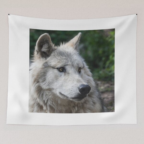 Item preview, Beautiful Zidika Wolf Vascover, Animal Zidika Wolf- designed and sold by bartdesigner.