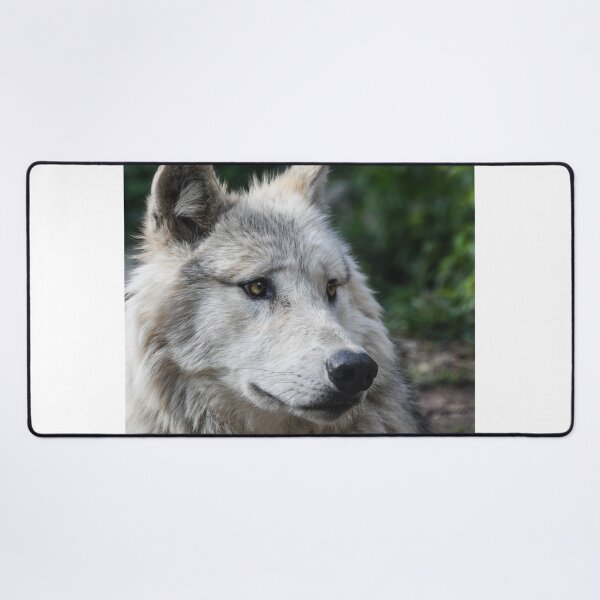 Item preview, Beautiful Zidika Wolf Vascover, Animal Zidika Wolf- designed and sold by bartdesigner.