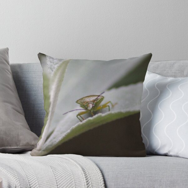 Item preview, Shield Bug designed and sold by phoenixlament.
