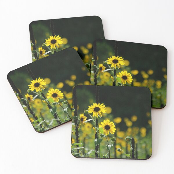 Item preview, Sunny Side Up  designed and sold by Vicki Pelham.