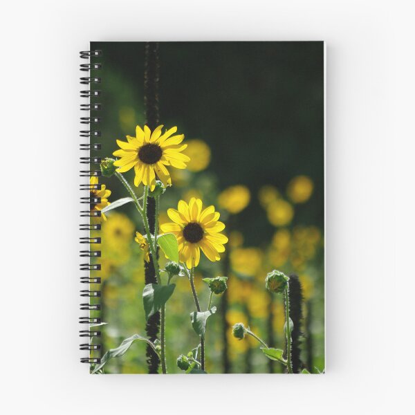 Item preview, Sunny Side Up  designed and sold by Vicki Pelham.
