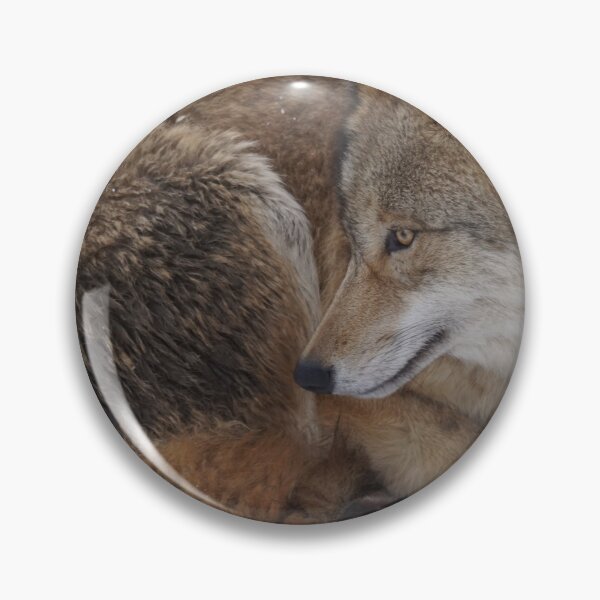 Item preview, Cute Zidika Wolf, Zidika Wolf Travel, Funny Zidika Wolf- designed and sold by bartdesigner.