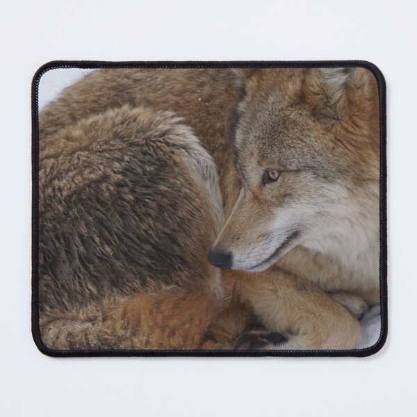 Item preview, Cute Zidika Wolf, Zidika Wolf Travel, Funny Zidika Wolf- designed and sold by bartdesigner.