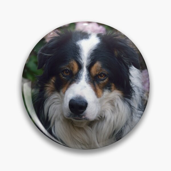 Item preview, A boy called Laddie. designed and sold by Michael Haslam.